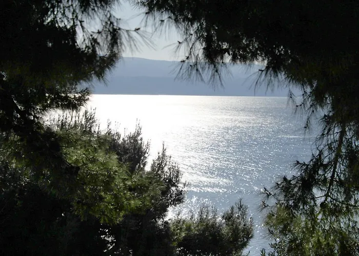 Apartman Zavode 5252a