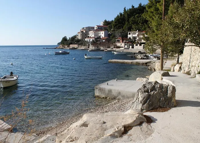 Daire Zavode 5252a *